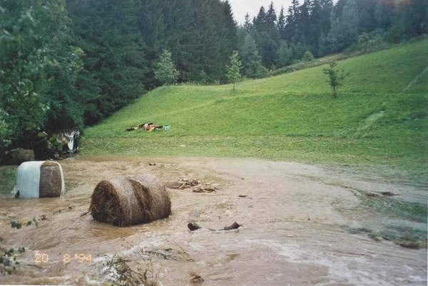 Bei Ronny P. & Heidi R. aus Neufelden, O